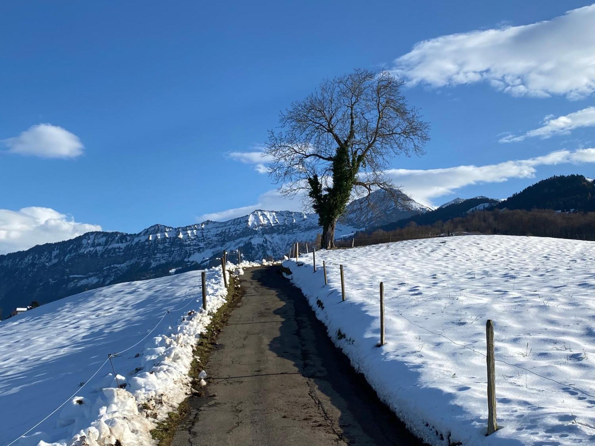 Herrlicher Blick Auf Berge Und See 法伦湖 外观 照片