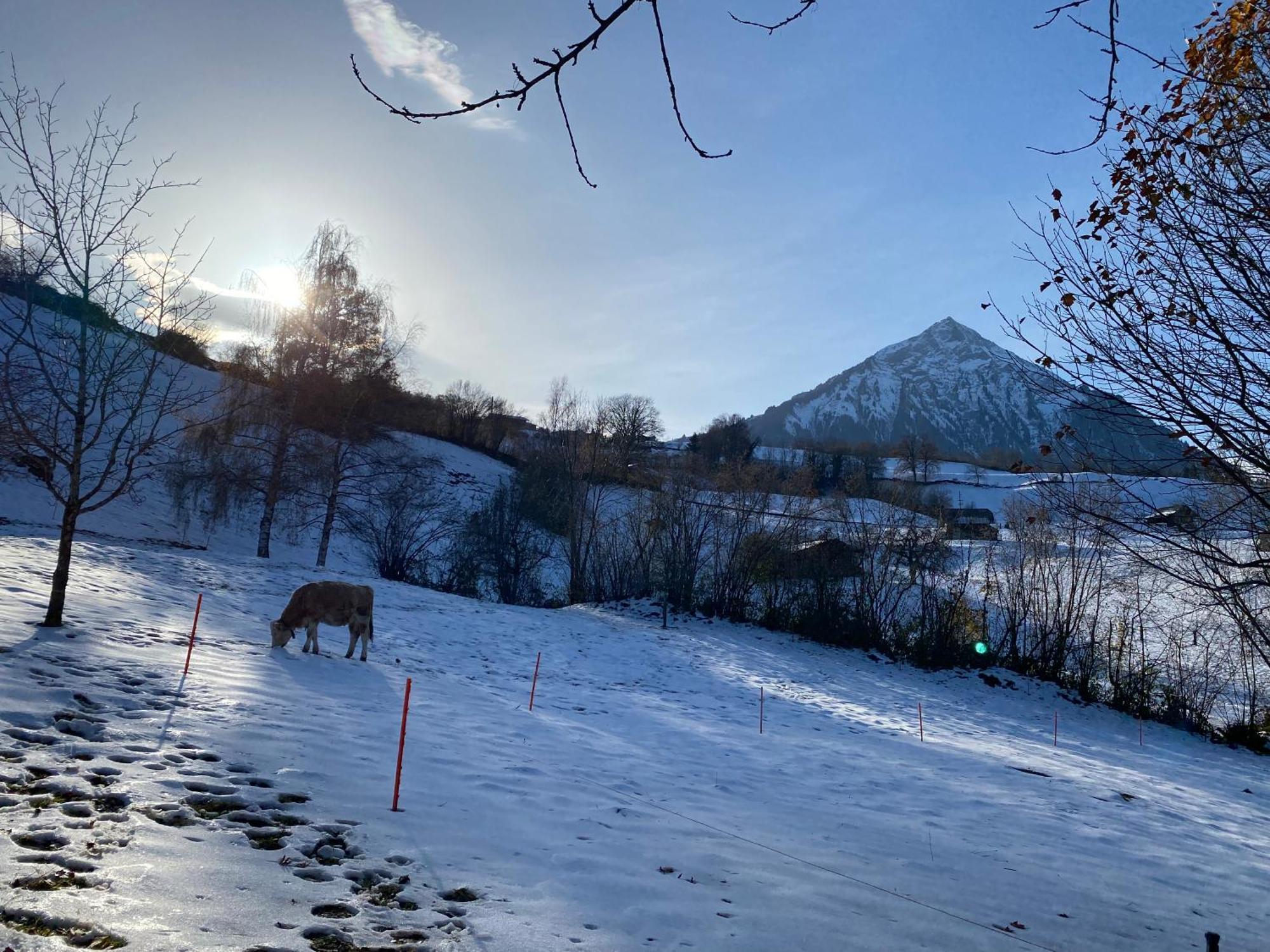 Herrlicher Blick Auf Berge Und See 法伦湖 外观 照片